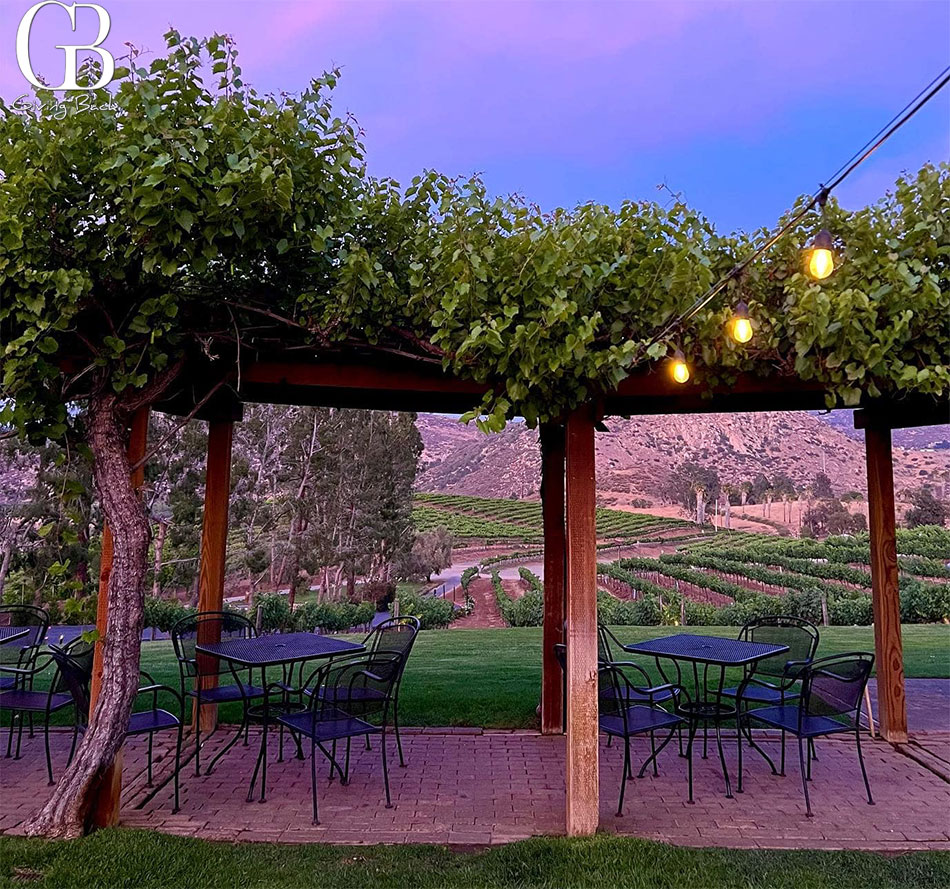 Orfila Vineyard and Winery